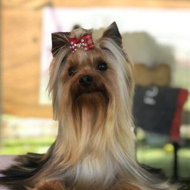 IMG-20190820-WA0000