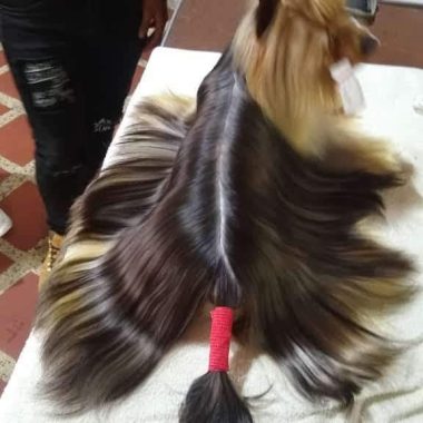 IMG-20191021-WA0034