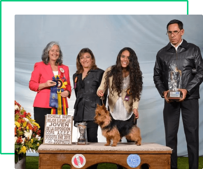 australian terrier historia-3