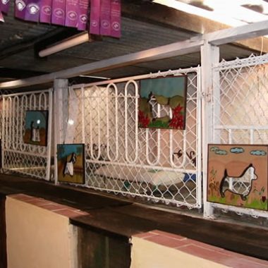 guarderia_canina_10_gr