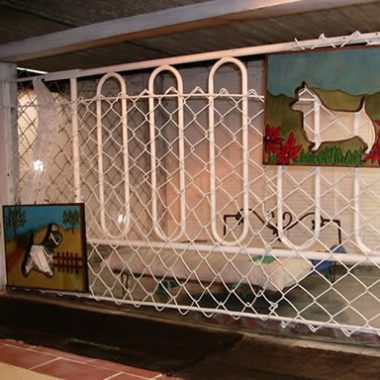 guarderia_canina_6-1