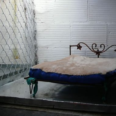 guarderia_canina_7_gr