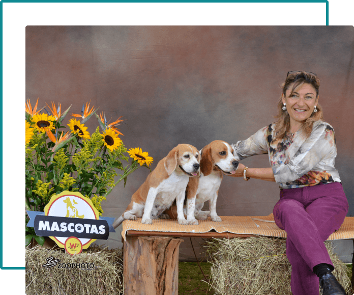 información básica beagle-5 información básica beagle-5