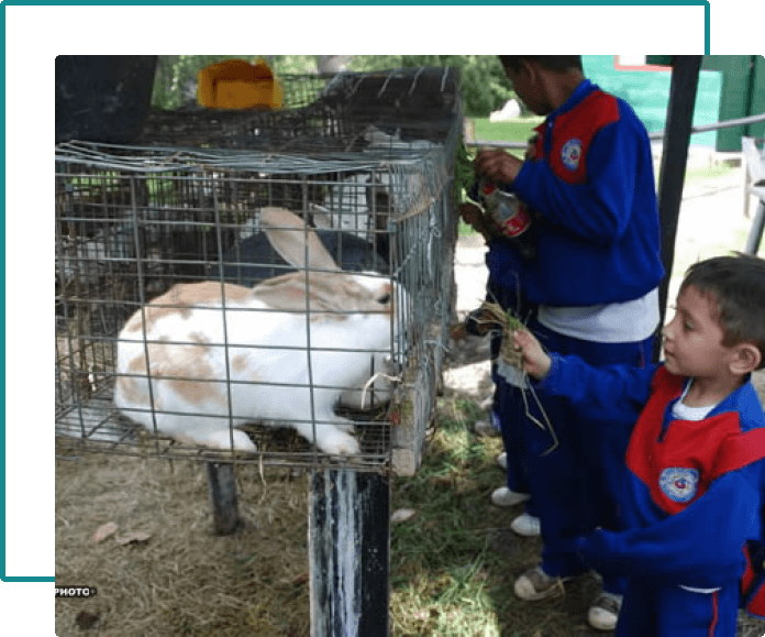 interaccion animal