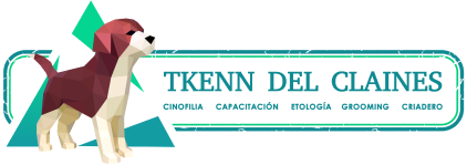logo logo